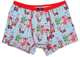 Witzige Unterwäsche Everyday heroes slim