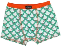 Vögel boy